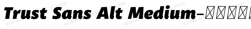 Trust Sans Alt Medium字体转换